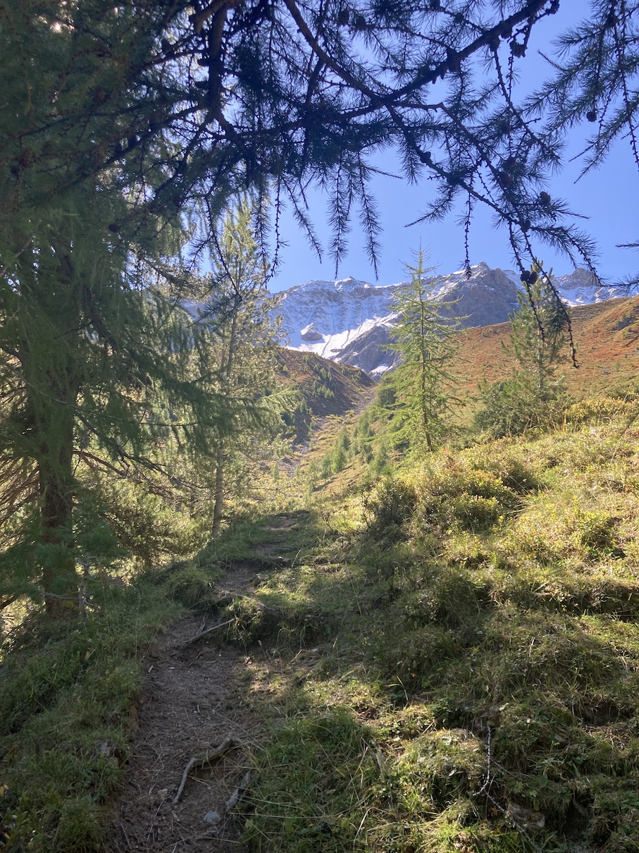 Berweg im Engadin